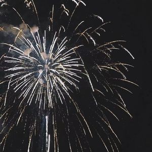 ass鲜嫩小泬pics高清
