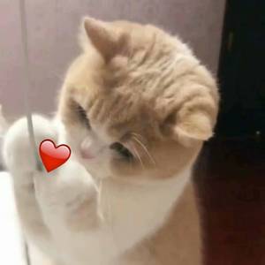 ass鲜嫩小泬pics高清
