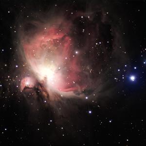 ass鲜嫩小泬pics高清
