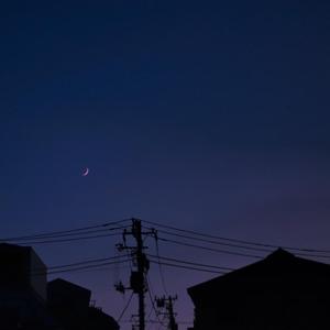 ass鲜嫩小泬pics高清
