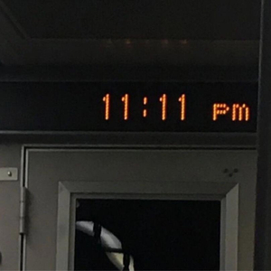 ass鲜嫩小泬pics高清
