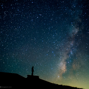 ass鲜嫩小泬pics高清
